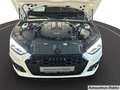 Audi S5 Sportback 3.0 TDI quattro B+O Leder Glasdach Blanc - thumbnail 19