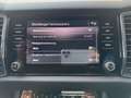 Skoda Kodiaq 2.0 TDI DSG Style LED Navi Sitzhzg Memory Sitze Ku Brun - thumbnail 32
