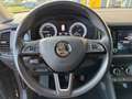 Skoda Kodiaq 2.0 TDI DSG Style LED Navi Sitzhzg Memory Sitze Ku Brun - thumbnail 19
