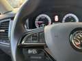 Skoda Kodiaq 2.0 TDI DSG Style LED Navi Sitzhzg Memory Sitze Ku Brun - thumbnail 20