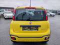 Fiat Panda Cross 1.0i MHEV/CLIM/BLUETOOTH/GARANTIE.12.MOIS/ Geel - thumbnail 6