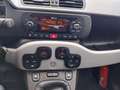Fiat Panda Cross 1.0i MHEV/CLIM/BLUETOOTH/GARANTIE.12.MOIS/ Geel - thumbnail 15