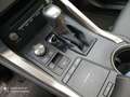 Lexus NX 300 h OFFROAD HYBRID ALLRAD - thumbnail 20