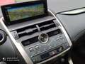 Lexus NX 300 h OFFROAD HYBRID ALLRAD - thumbnail 25
