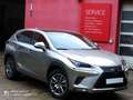 Lexus NX 300 h OFFROAD HYBRID ALLRAD - thumbnail 2