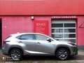 Lexus NX 300 h OFFROAD HYBRID ALLRAD - thumbnail 3