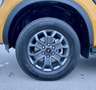 Ford Ranger Double Cabine / 3.0l V6 240 CH BVA 10 e-4WD / Gelb - thumbnail 15