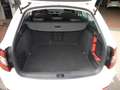 Skoda Octavia Combi 1.5 TSI DSG Style NAVI LED RFK AHK Weiß - thumbnail 12