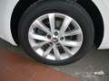 Skoda Octavia Combi 1.5 TSI DSG Style NAVI LED RFK AHK Weiß - thumbnail 13