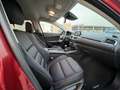 Mazda 6 2.2DE Luxury (Navi) 129kW Rouge - thumbnail 8
