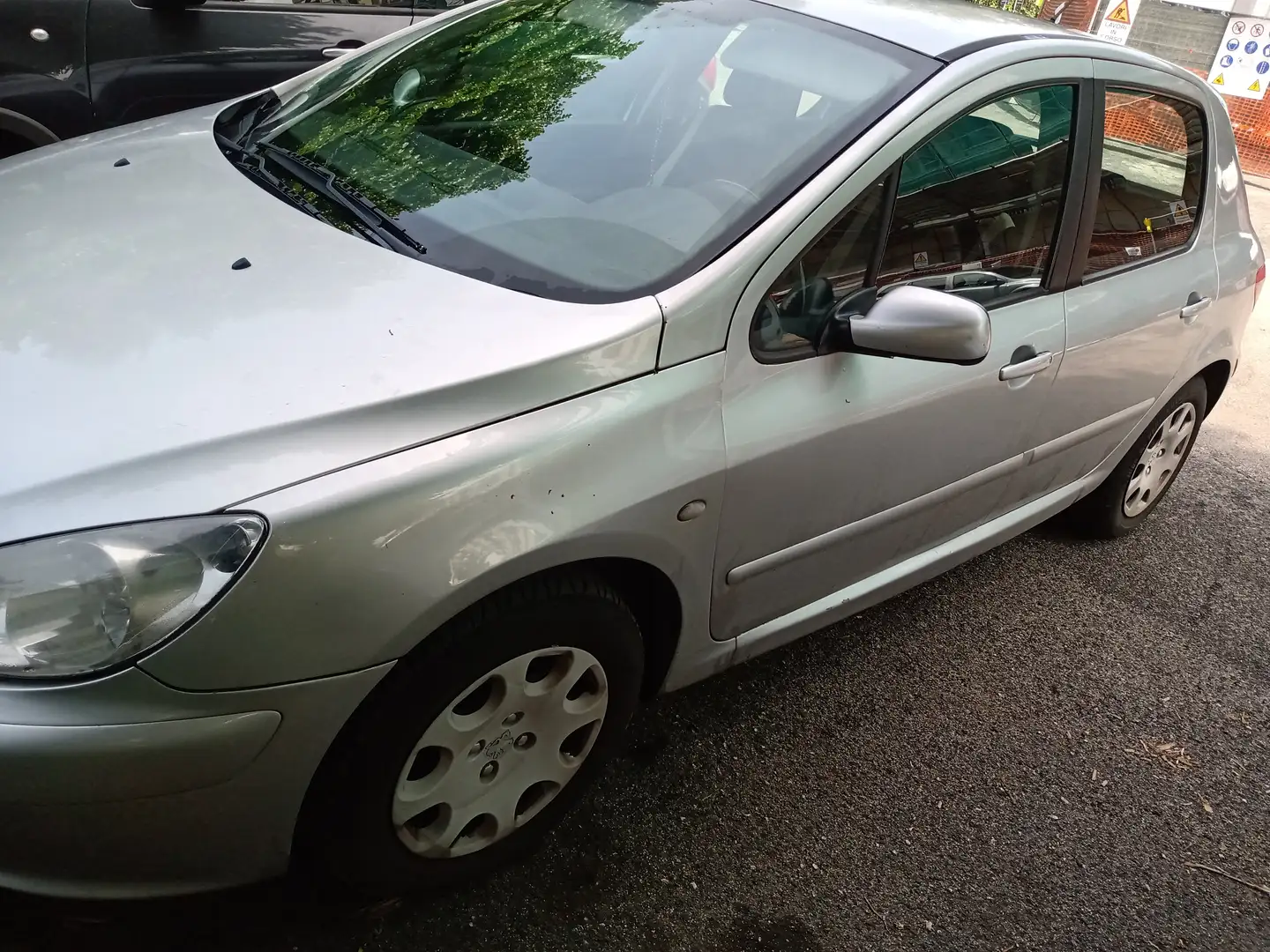 Peugeot 307 307 2001 5p 1.6 16v XS Grigio - 1