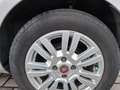 Fiat Punto Punto 5p 1.2 Lounge E6 OK NEOPATENTATI Zilver - thumbnail 5