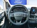 Ford Fiesta 1.0 EcoBoost S&S ACTIVE *WinterPk*Allwetter* Blanc - thumbnail 11
