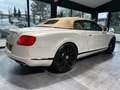 Bentley Continental GTC Muliner W12 TOP GEPFLEGT Blanc - thumbnail 5