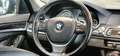 BMW 525 d xDrive F10 Aut. *Navi*18Zoll*Sitzheizung* Grau - thumbnail 12