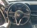 Alfa Romeo Stelvio 2.2 Turbo Diesel 180CV AT8 RWD Executive Weiß - thumbnail 12
