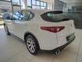 Alfa Romeo Stelvio 2.2 Turbo Diesel 180CV AT8 RWD Executive Weiß - thumbnail 6