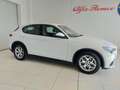 Alfa Romeo Stelvio 2.2 Turbo Diesel 180CV AT8 RWD Executive Weiß - thumbnail 4
