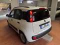 Fiat Panda 1.3 mjt 16v Lounge s Blanc - thumbnail 4