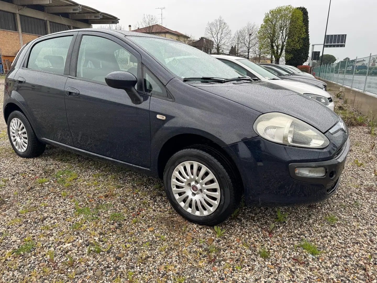 Fiat Punto Evo Blu/Azzurro - 2