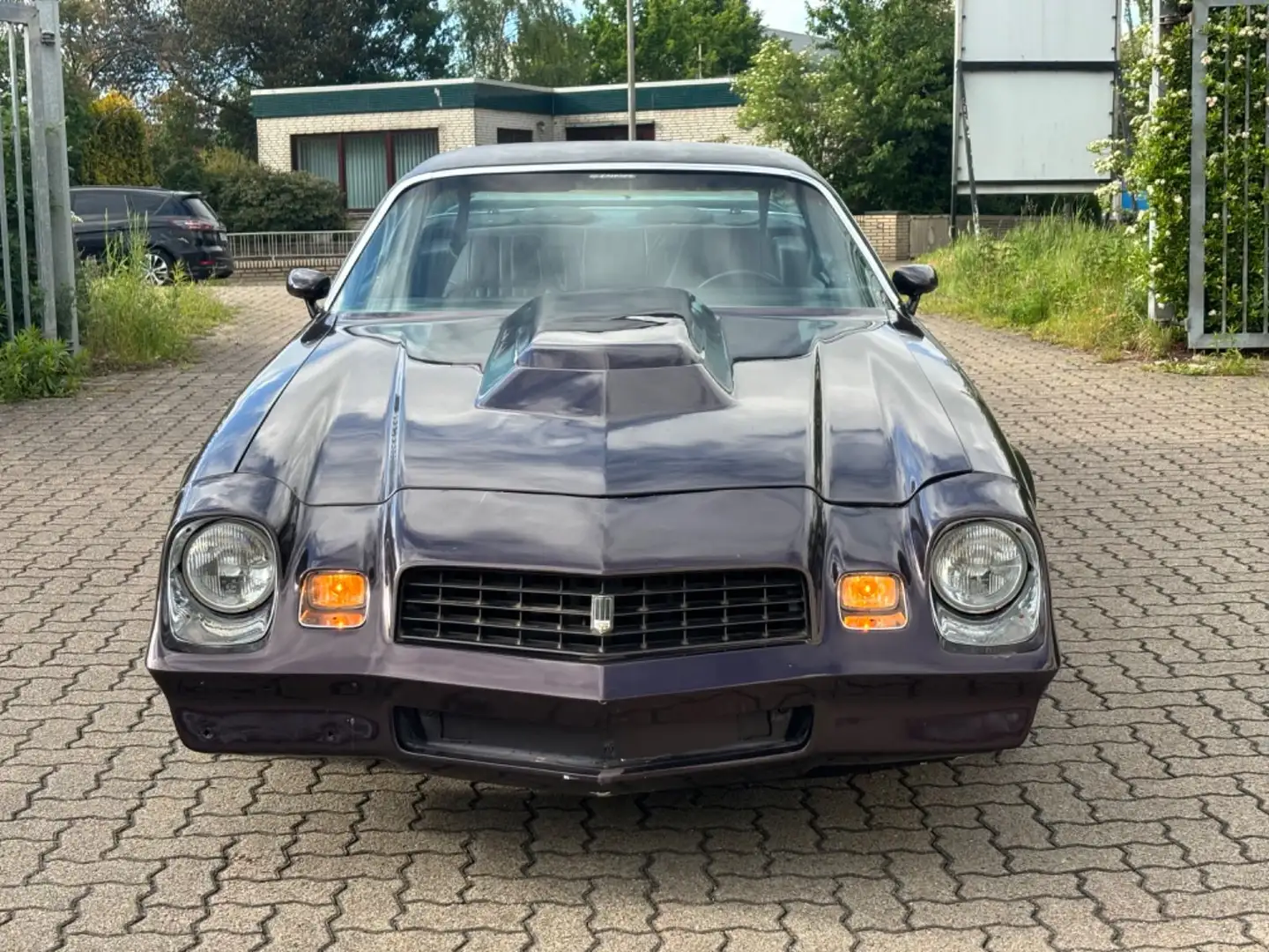 Chevrolet Camaro SS 5.7 V8 Automatik H ZULASSUNG Violet - 2