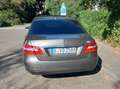 Mercedes-Benz E 250 E 250 CDI Gold - thumbnail 4