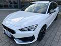 CUPRA Leon Sportstourer 1.5 eTSI 150CV DSG Bianco - thumbnail 3
