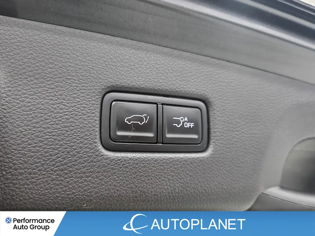 Kia Carnival снимка Kia Carnival
