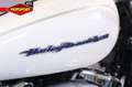 Harley-Davidson Sportster 1200 CUSTOM Blanco - thumbnail 17