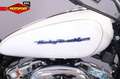 Harley-Davidson Sportster 1200 CUSTOM Blanco - thumbnail 12