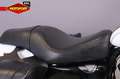 Harley-Davidson Sportster 1200 CUSTOM Blanco - thumbnail 11