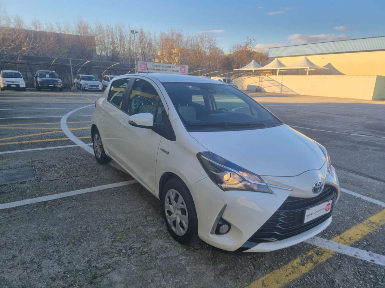 Toyota Yaris Yaris 1.5 Hybrid 5 porte Business