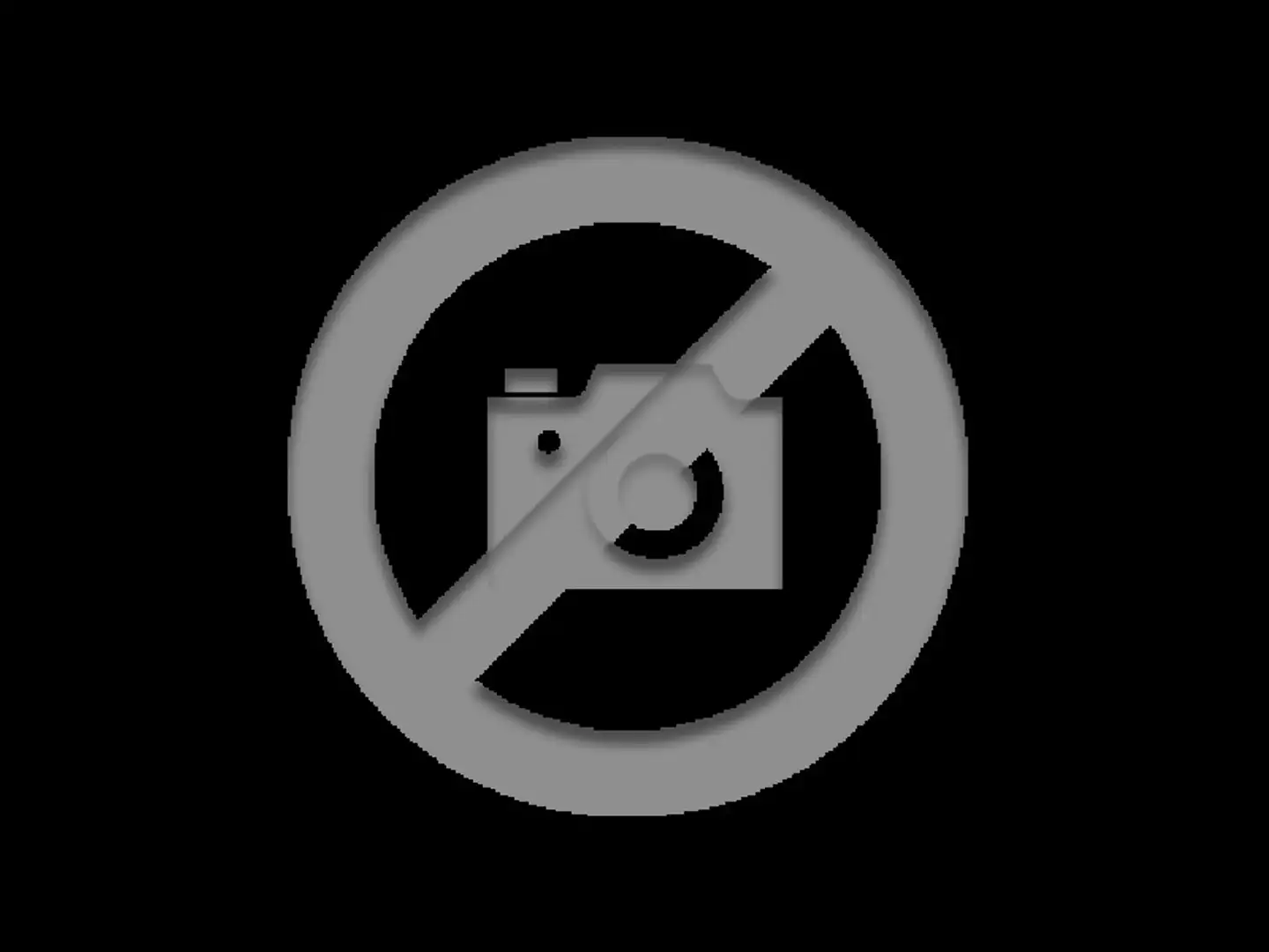 Citroen C3 3 1.2 PureTech 110 S&S MAN PLUS Gris - 2