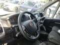 Fiat Ducato 35 L2H2 Nat.Pow(100kW) EU6 D-temp GNC Blanco - thumbnail 6