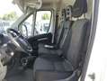 Fiat Ducato 35 L2H2 Nat.Pow(100kW) EU6 D-temp GNC Blanco - thumbnail 8