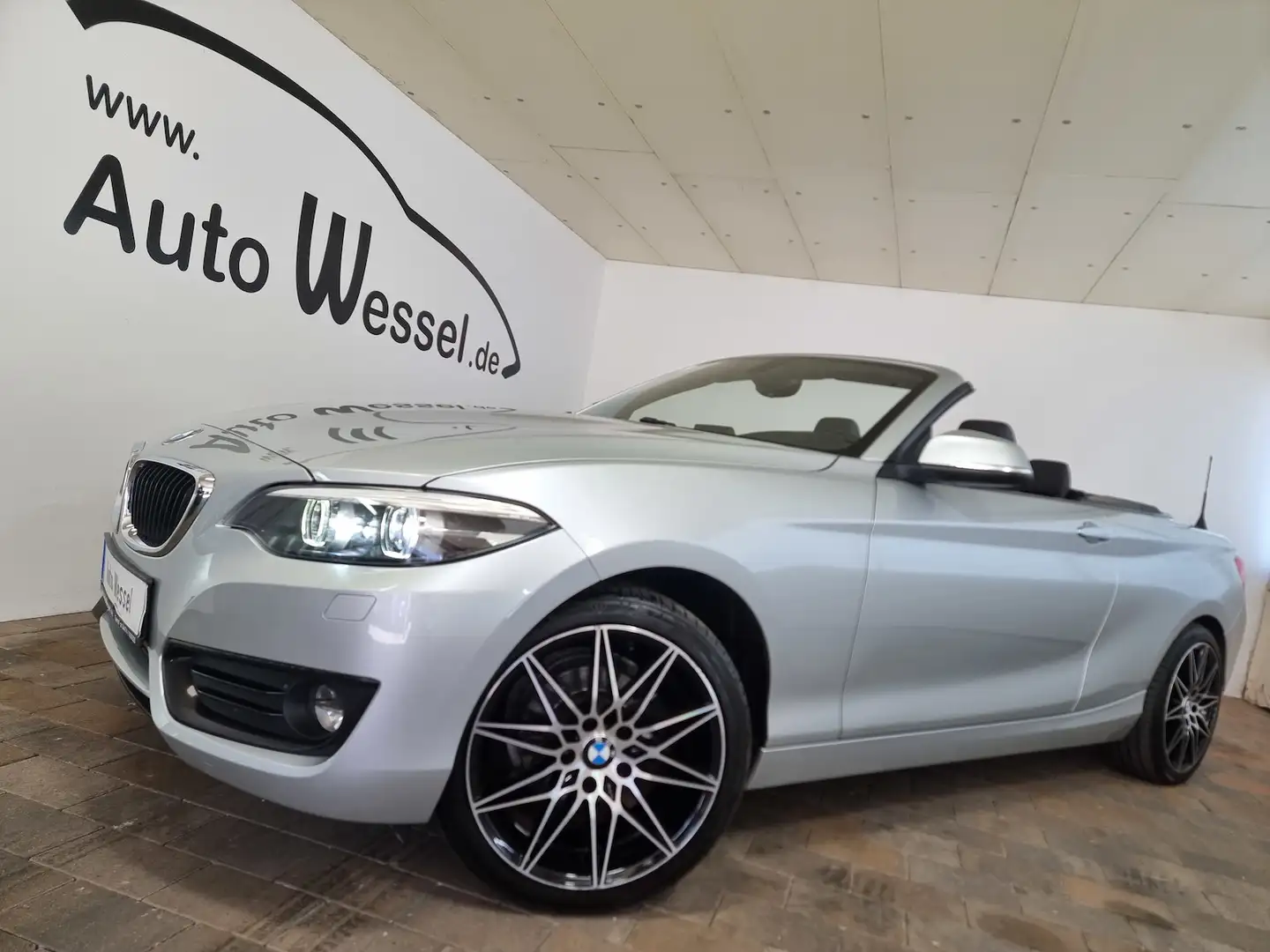 BMW 218 Advantage Cabrio LED Leder PDC Sportlenkrad Plateado - 1