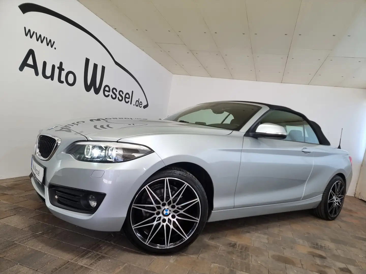 BMW 218 Advantage Cabrio LED Leder PDC Sportlenkrad Plateado - 2