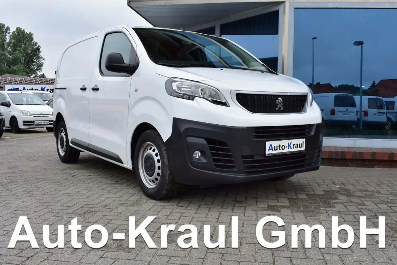 Peugeot 1007 L1H1 Premium 3-Sitzer Navi Klima Sitzheizung Tempo Alb - 1