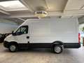 Iveco Daily 35S13 Hoch+Lang*AHK*Garantie* Blanc - thumbnail 13