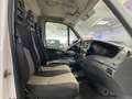 Iveco Daily 35S13 Hoch+Lang*AHK*Garantie* Blanc - thumbnail 10