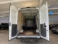 Iveco Daily 35S13 Hoch+Lang*AHK*Garantie* Blanc - thumbnail 35