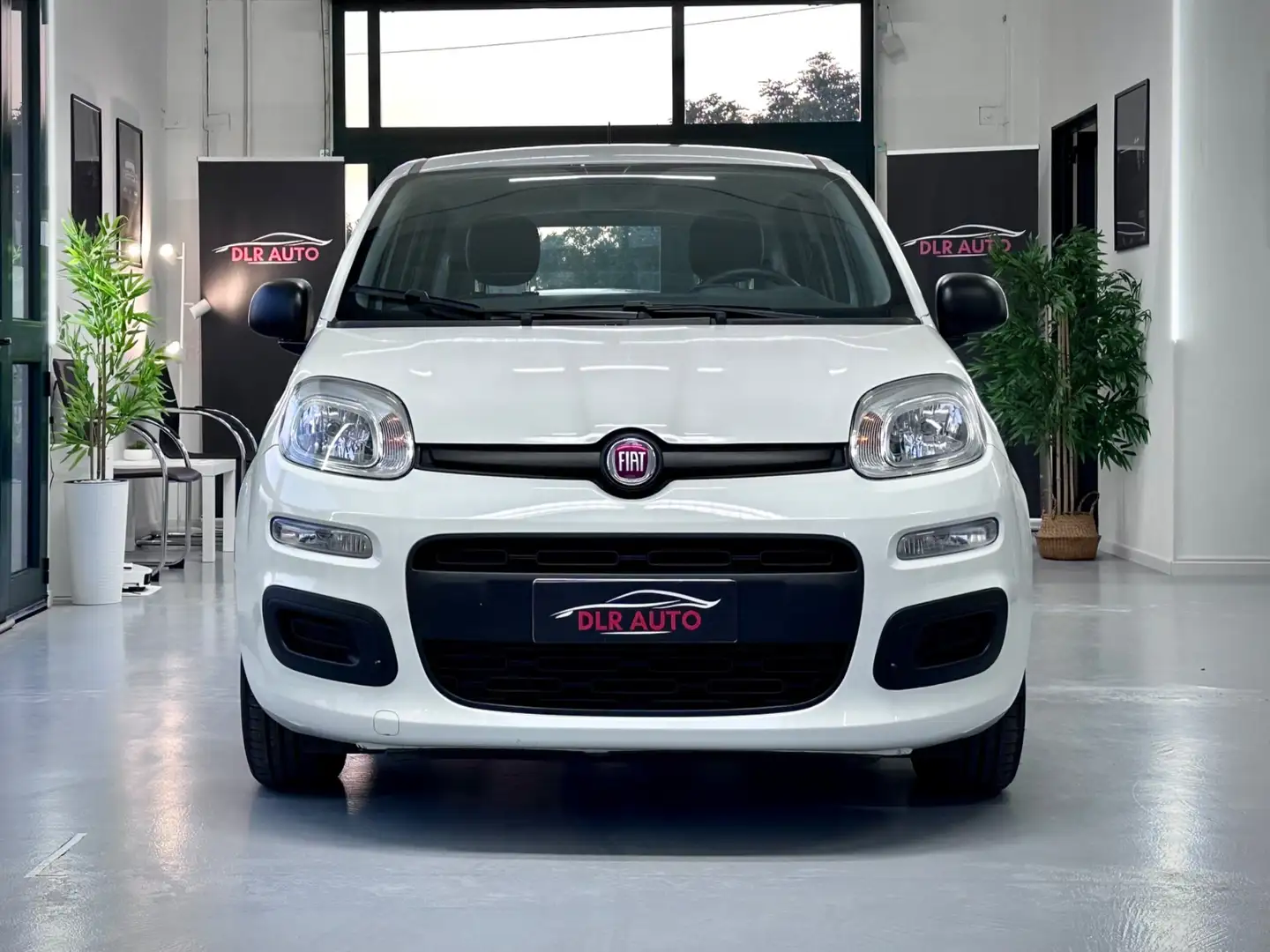 Fiat Panda 1.0 FireFly S&S Hybrid Easy Blanco - 2