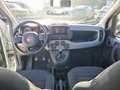 Fiat Panda Panda 1.0 FireFly S&S Hybrid City Life Bianco - thumbnail 12