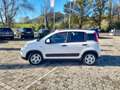 Fiat Panda Panda 1.0 FireFly S&S Hybrid City Life Bianco - thumbnail 5