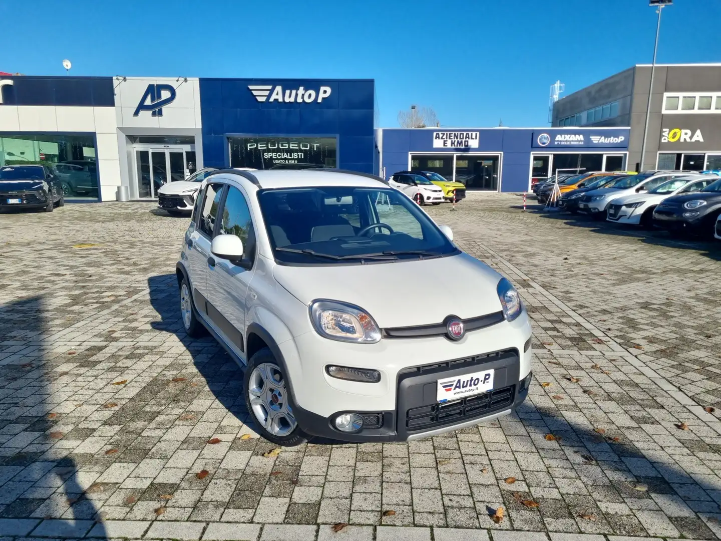 Fiat Panda Panda 1.0 FireFly S&S Hybrid City Life Bianco - 2