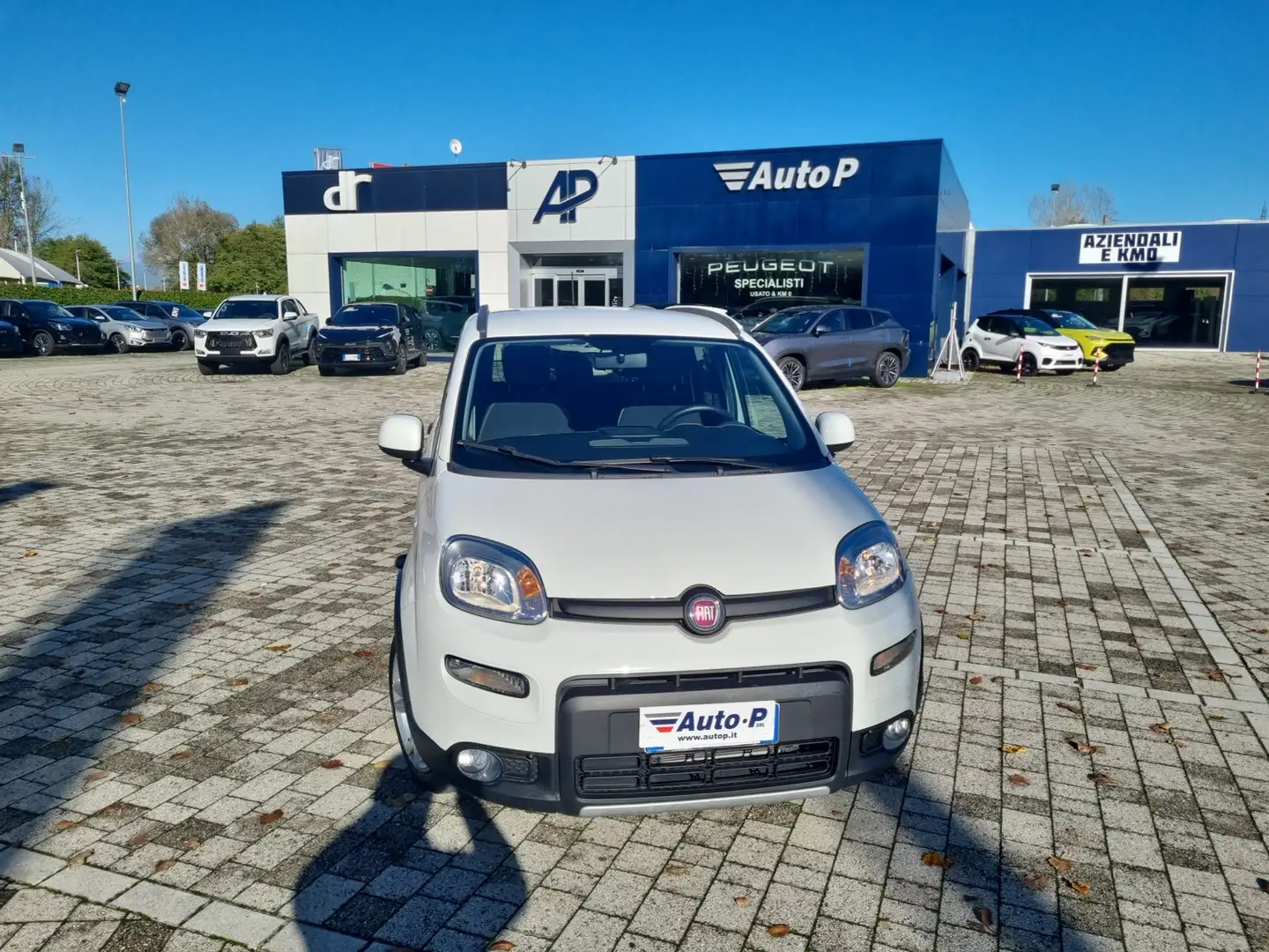 Fiat Panda Panda 1.0 FireFly S&S Hybrid City Life Bianco - 1