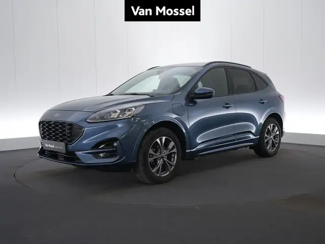 2023 Ford Kuga in Blue for sale