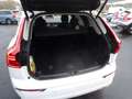 Volvo XC60 B5 Inscription AWD Weiß - thumbnail 11