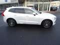 Volvo XC60 B5 Inscription AWD Weiß - thumbnail 7