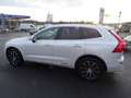 Volvo XC60 B5 Inscription AWD Weiß - thumbnail 12